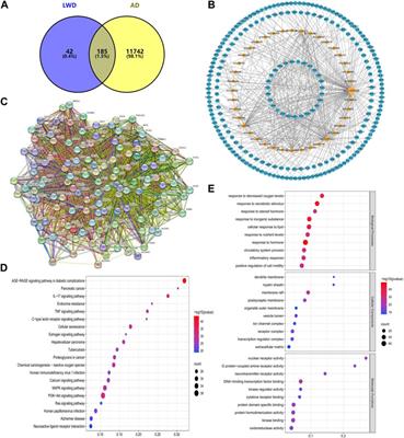 The neuroprotective effects of Liuwei Dihuang medicine in the APP/PS1 mouse model are dependent on the PI3K/Akt signaling pathway